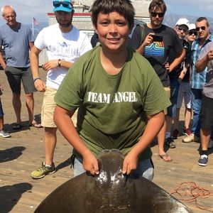 Meet your Posher, Nico